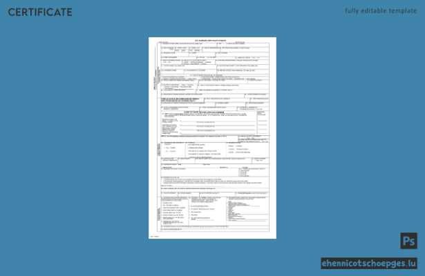 Vorschau einer Sterbeurkunde des US General Register